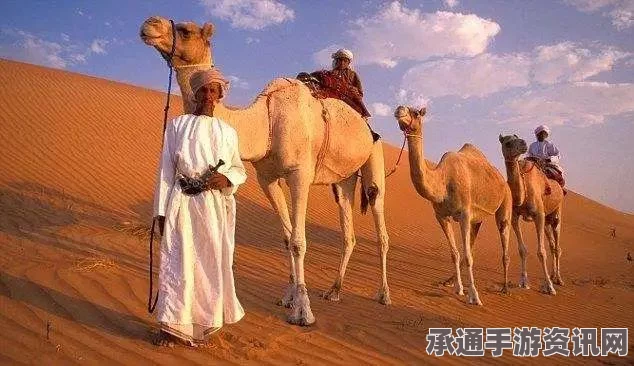 卡塔尔王子在伊拉克遭遇武装分子绑架事件，应对技巧与策略分析