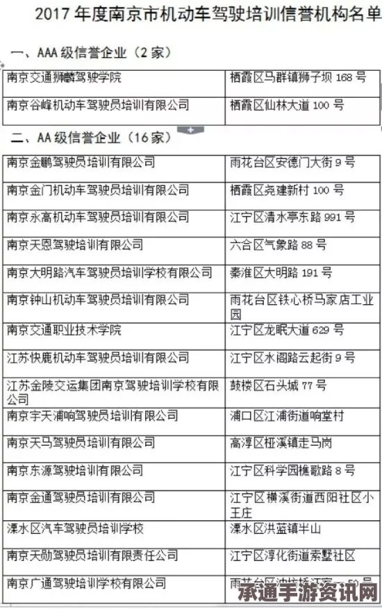 荷兰议会决议驾校学车可肉偿，教练申请量暴增—应对新政策下的学车技巧与方法