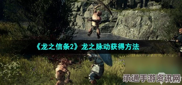 龙之信条2攻略，寻找龙之脉动碎片11的技巧与方法