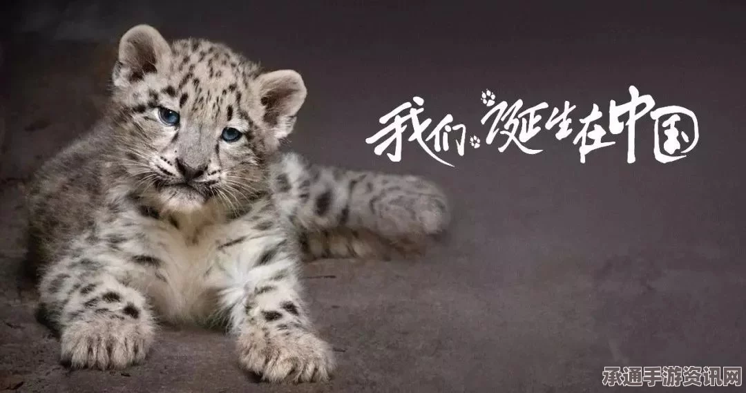 美将非洲狮列入濒危名单，寻求保护之路与遏止猎杀行为的策略