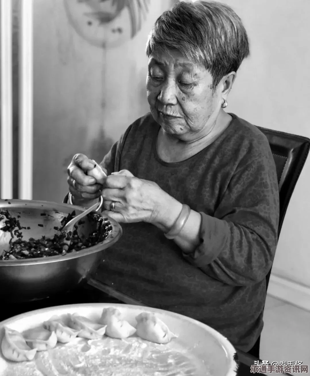 口袋妖怪黑白2金手指攻略大全及使用方法指南_游戏秘籍分享