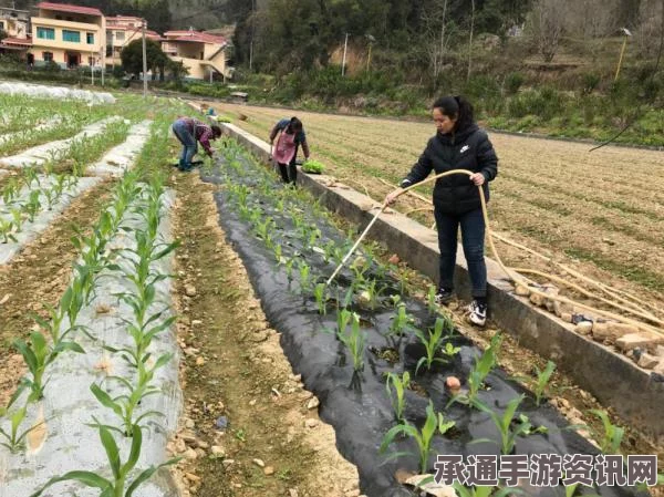 NASA试验火星种马铃薯，探索粮食危机解决之道的新途径