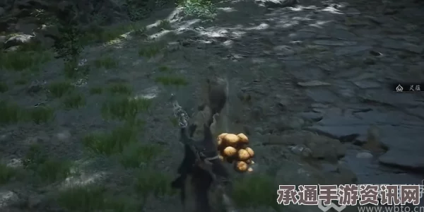 黑神话悟空角色，蘑女技能详解与攻略秘籍