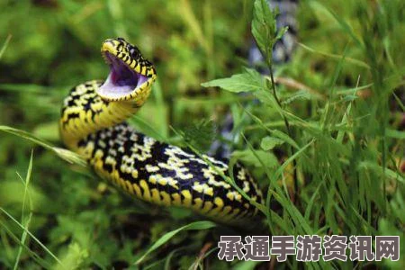 墨西哥英雄大混战2毒蛇神殿投掷技能解锁指南与技巧方法详解