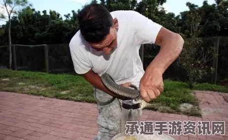 揭秘蛇类共处之道，美国男子与六十只蛇同居的独特经验与方法