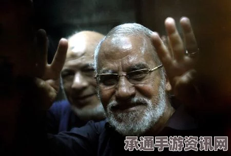 埃及穆兄会前领导人十年监禁事件深度解析，启示与方法探讨