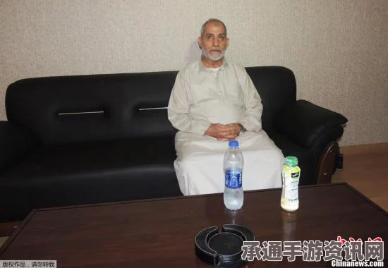 埃及法院对穆兄会前最高领导人判处十年监禁事件分析及其启示—方法与技巧探讨