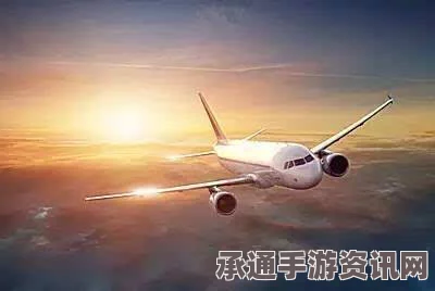 揭秘高空奇遇，俄女子在客机偶遇外星人的神秘影像—探索与解读