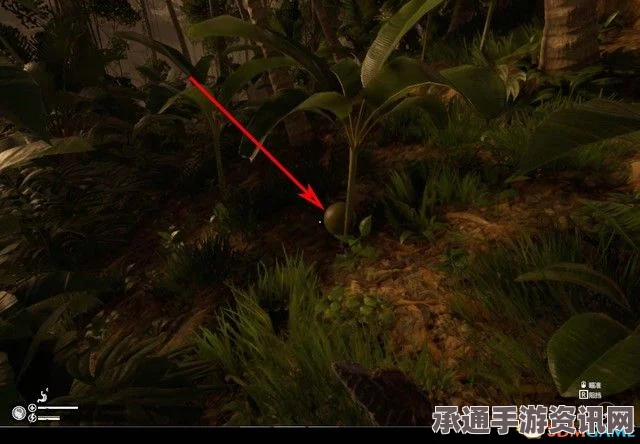 绿色地狱全流程图文攻略及通关任务要点攻略—探索生存技巧与智慧