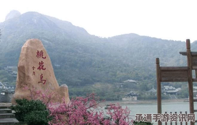 射雕英雄传之桃花岛技能深度解析