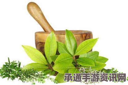 七日杀草药抗生素获取攻略，方法与技巧详解