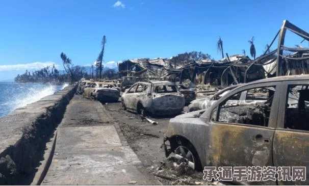 澳大利亚维州山火肆虐，逾60名居民流离失所，应对灾难的技巧与方法