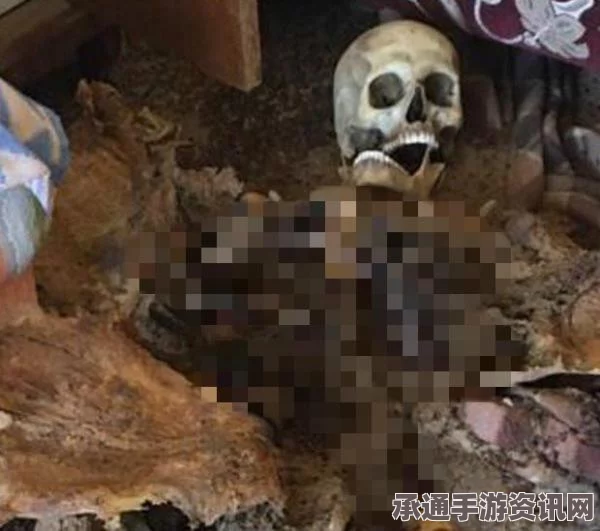 俄罗斯居民楼爆炸事故，应对灾难的技巧与方法