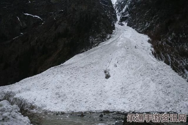 挪威北部雪崩引发重大灾害，现场情况与应对技巧方法