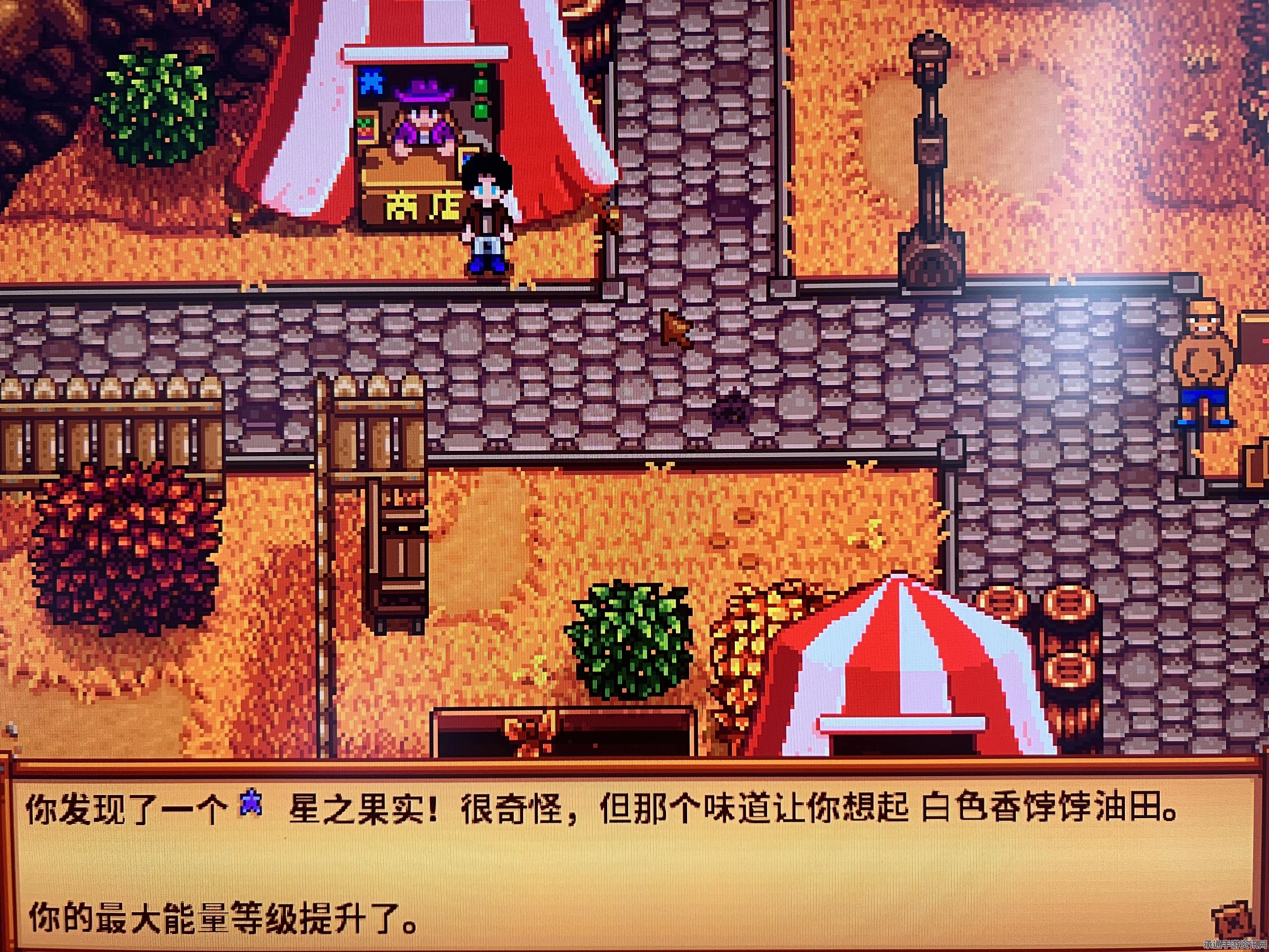 星露谷物体力恢复方法详解