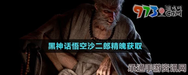 黑神话，悟空沙二郎精魄获取攻略及技巧解析视频