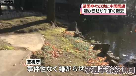 靖国神社池塘惊现中国国旗，恶作剧背后的深层故事与启示