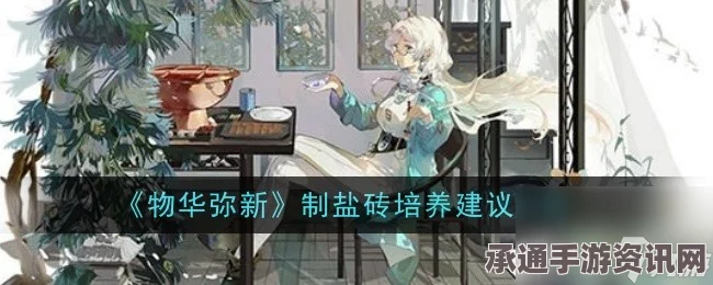 物华弥新制盐砖培养攻略，打造专属你的强大装备