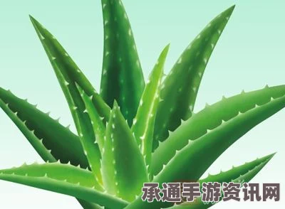 七日杀芦荟霜制作秘籍，方法与技巧全面解析