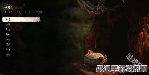 黑神话悟空，猫睛宝串效果深度解析与攻略指南