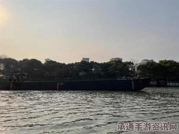 意大利威尼斯大运河，圣诞老人划船技巧全解析
