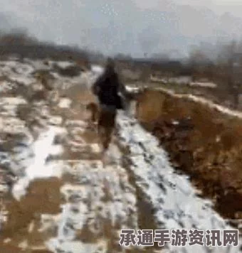 阴阳师手游，探寻黑豹踪迹与攻略秘籍揭秘