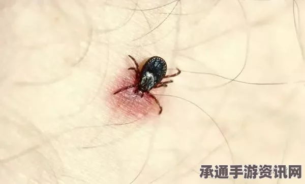 新西兰女子因家中蟑螂泛滥被判未尽母亲职责，如何有效应对家庭虫害问题？