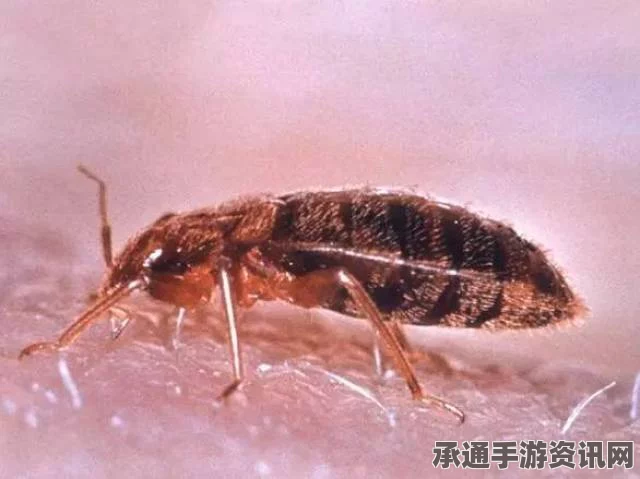 新西兰女子因家中蟑螂泛滥被判未尽母亲职责，如何有效应对家庭虫害问题？