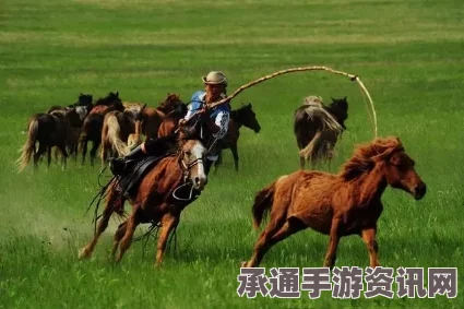 牧野之歌，使用畜牧帮工的注意事项与技巧方法详解