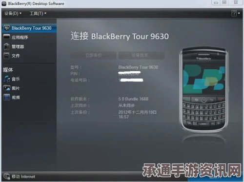 少数幸运儿成功破解黑莓技巧方法深度解析