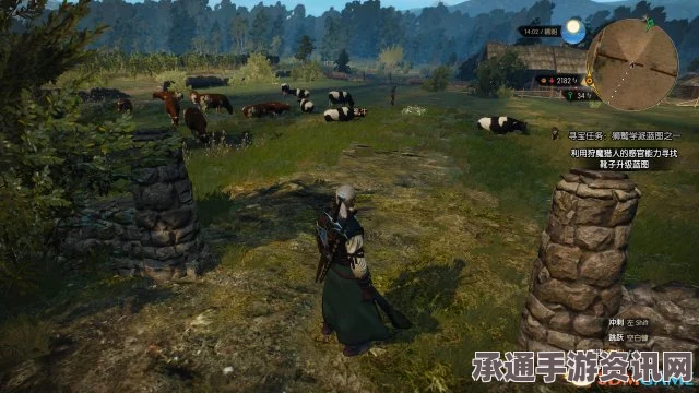 巫师3快速赚钱攻略，实用技巧与赚钱方法一览