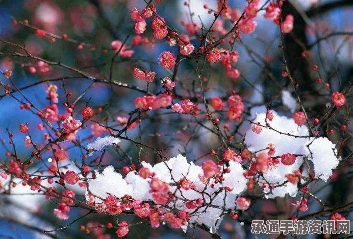 奇迹暖暖银河宛转三千曲搭配评选赛攻略，技巧方法与实战心得分享