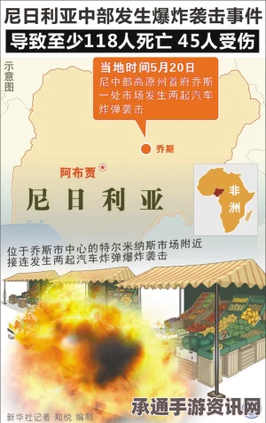 尼日利亚恐怖袭击事件，应对与反思