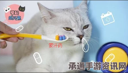 少数幸运儿猫咪收藏家的完成攻略与技巧解析