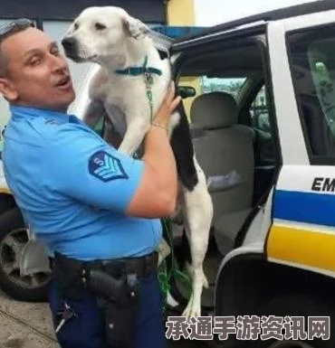 少数幸运儿解锁攻略，技巧与方法的深度解析