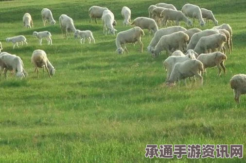 罗德牧场雷电羊毛的秘密，牧野之歌中的巧妙偷盗技巧