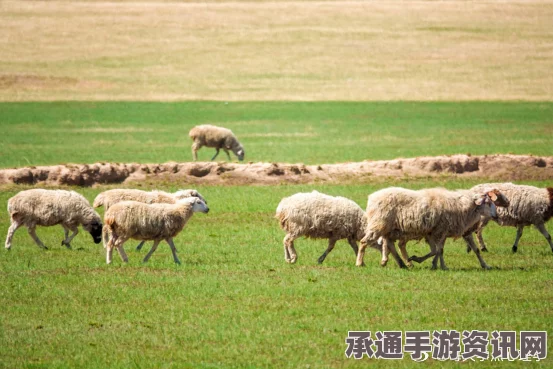 牧野之歌，罗德牧场雷电羊毛的巧妙偷盗技巧