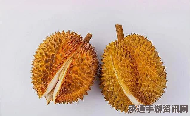 牧野之歌黄金榴莲芝士饼的制作材料及技巧详解