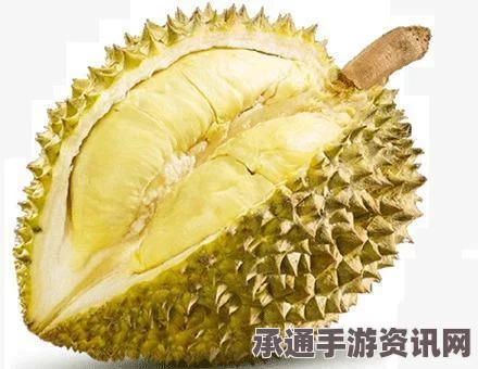 牧野之歌黄金榴莲芝士饼的制作材料及技巧详解