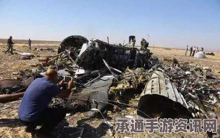 埃及初步调查报告解析，处理航班坠毁事件的处理技巧与方法——无证据表明与恐怖袭击有关