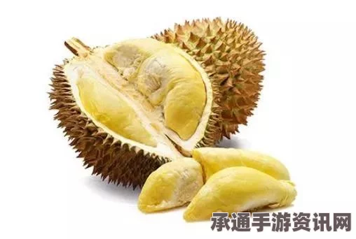 牧野之歌，黄金榴莲班戟的制作秘诀与材料清单