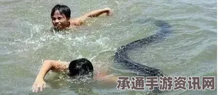 男子养巨蟒为宠物遭遇反伤，现实版农夫与蛇故事中的技巧方法解析