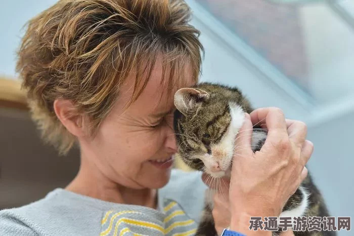 日本猫咪震灾四年半后与主人重逢的温馨瞬间（附图）