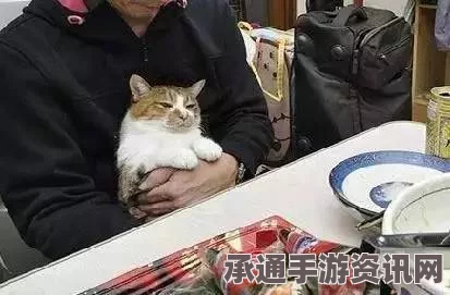 日本猫咪震灾四年半后与主人重逢的温馨瞬间（附图）