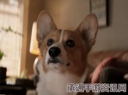 揭秘虚构世界第二个记忆球位置攻略及技巧分享