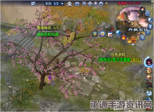 新倩女幽魂落霞峰隐藏任务详解，技巧方法与策略