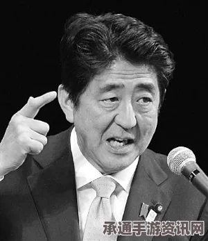 安倍晋三网站被黑原因揭秘，捕鲸政策引发争议背后的技术与应对之道