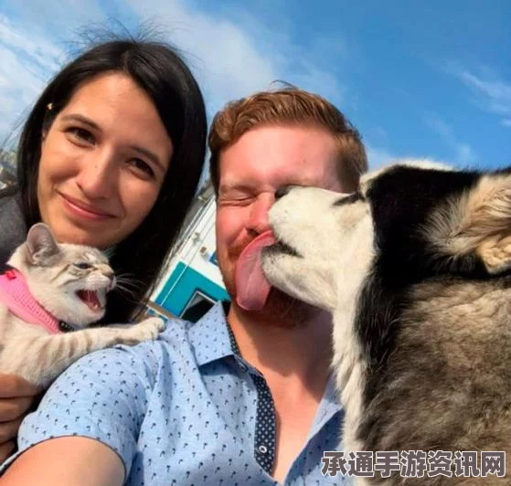猫咪斗恶龙3攻略大全，技巧方法与策略解析