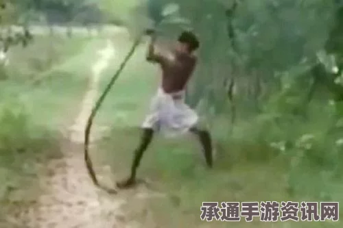 印度男孩遭毒蛇袭击致死，父亲孤身一人徒手复仇—勇气与力量的交织
