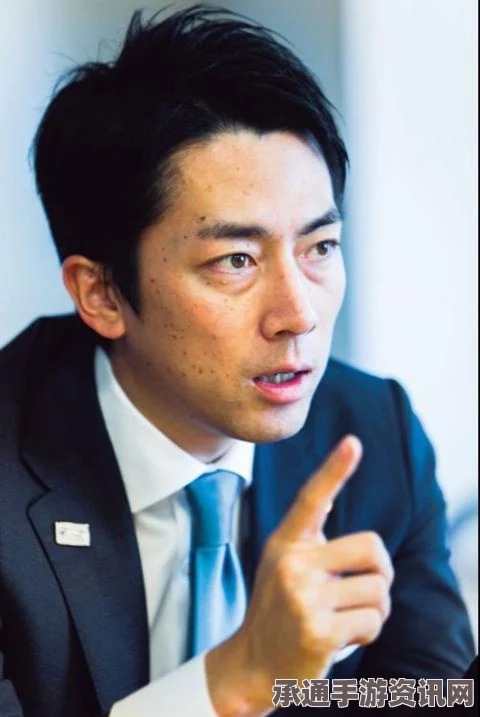 小泉纯一郎对安保法实施及安倍执政的担忧，深度分析与应对技巧探讨